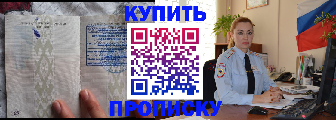 прописка поиск в Электрогорске